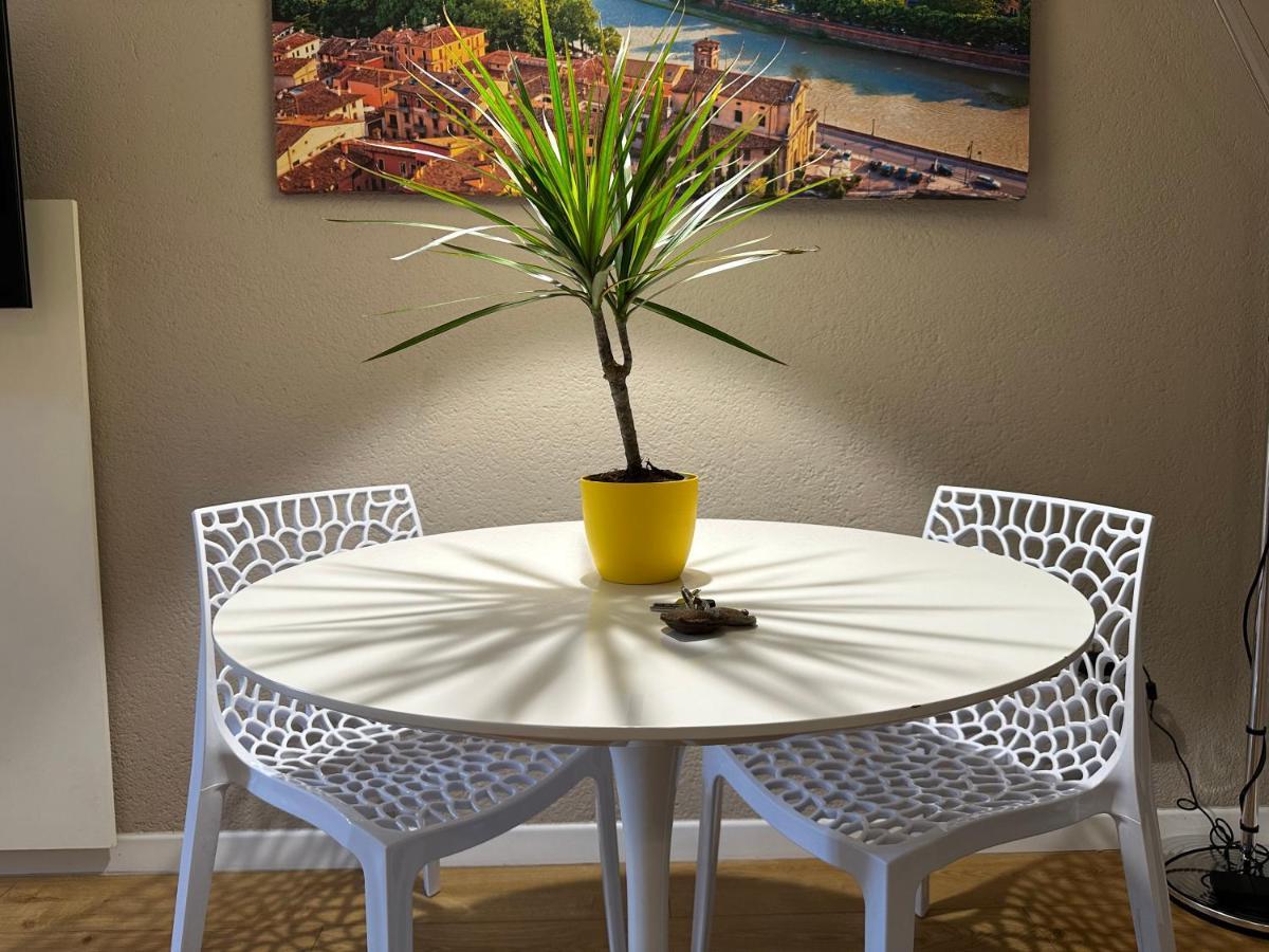 Domus Apartment
